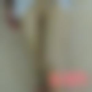 陈子益