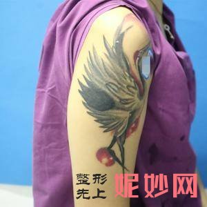 张程