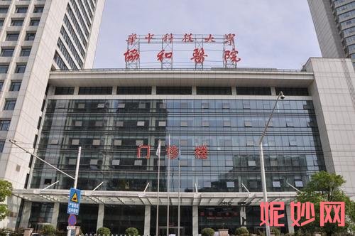武汉协和鼻整形怎么样