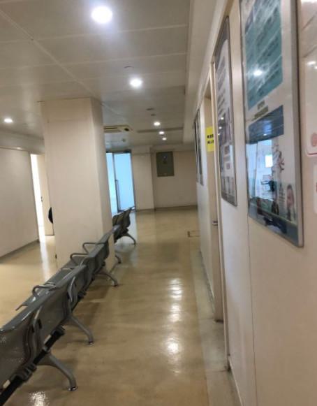 苏州市校正虎牙价格(价目)人气-苏州市校正虎牙价格