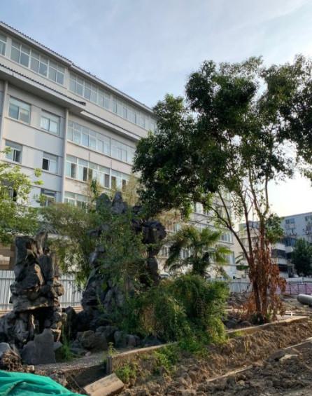 苏州隆鼻整形医院哪家好？推荐前五名医院，让你的颜值提升！