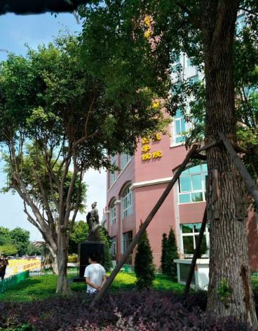 厦门市中医院整形2025年价格公布，医生介绍、隆鼻案例分享~