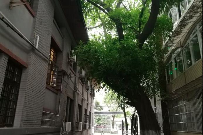 南充美昂口腔医院怎么样？南充美昂口腔医院简介、专家团队、口碑评价、价格表更新！