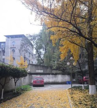 成都医学院第一附属医院整形科医生信息介绍，隆鼻技术怎么样？