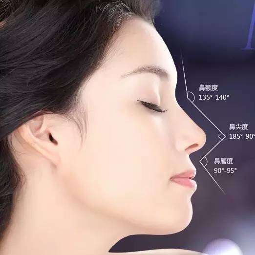 全面讲解肋骨垫鼻基底