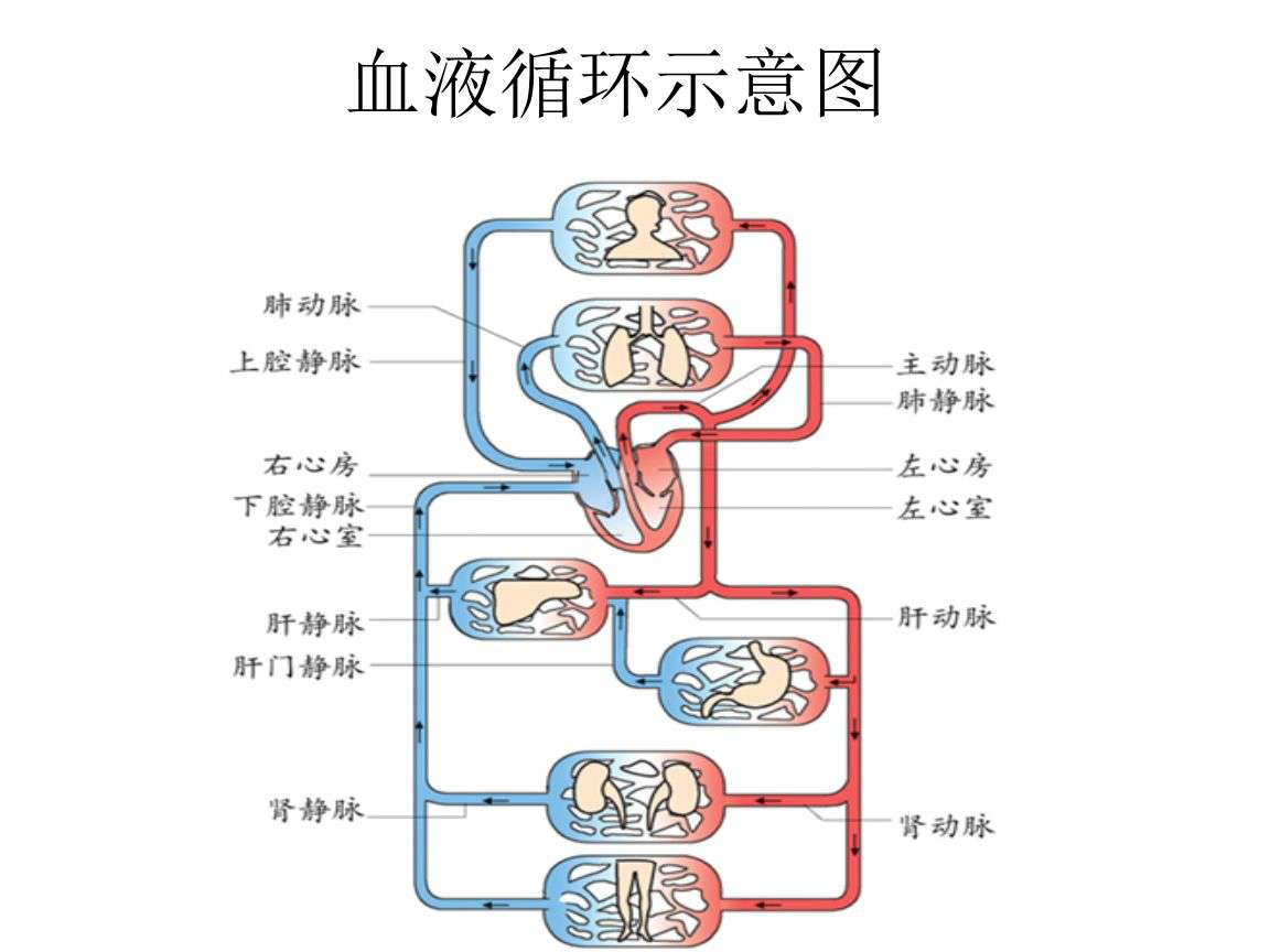 陈丽平医师：双眼皮术后恢复7大注意事项，纯干货