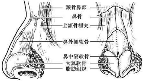 鼻部整形价格，遵义医附院鼻部整形价格