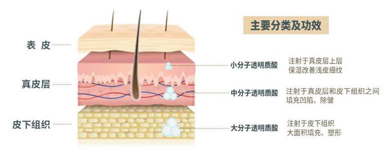 成都蜀尚蓉雅美容整形医院价格费用多少？项目全解析