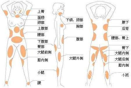 大连朗域医疗美容详解：整形项目与价格费用多少全攻略