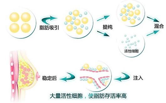 镇江瑞丽医疗美容整形价格全曝光，费用多少快速？