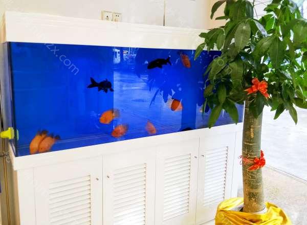 深圳泰禾医疗美容门诊部隆鼻价格多少？医生团队与鼻整形项目全解析