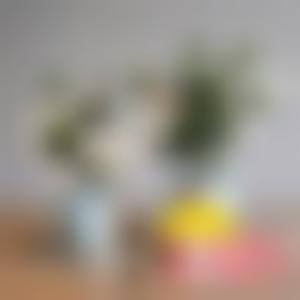 「北京加减美医疗美容门诊部穆宝安」怎么样?擅长|案例|价格表
