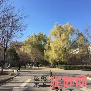 沈阳杏林整形外科医院朱石江医生怎么样_牙齿冷光美白怎么样_坐诊时间