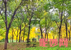 成都妤悦医疗整形医院张小平医生技术怎么样_玻尿酸面部填充技术怎么样