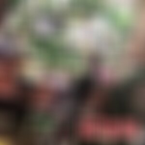 北京艺美硕德医疗美容诊所口碑怎么样？附2021较新整形案例