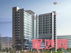 广东哪家医院做垫鼻尖手术较好？排行榜红十字会、禾丽、军美等权威发布!！