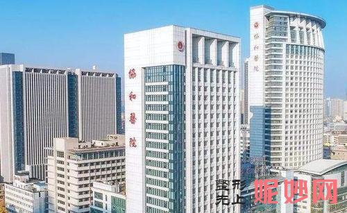 武汉协和整形科植眉哪个医生