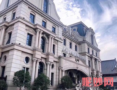 郑州安美星河星韵桃花面怎么做的