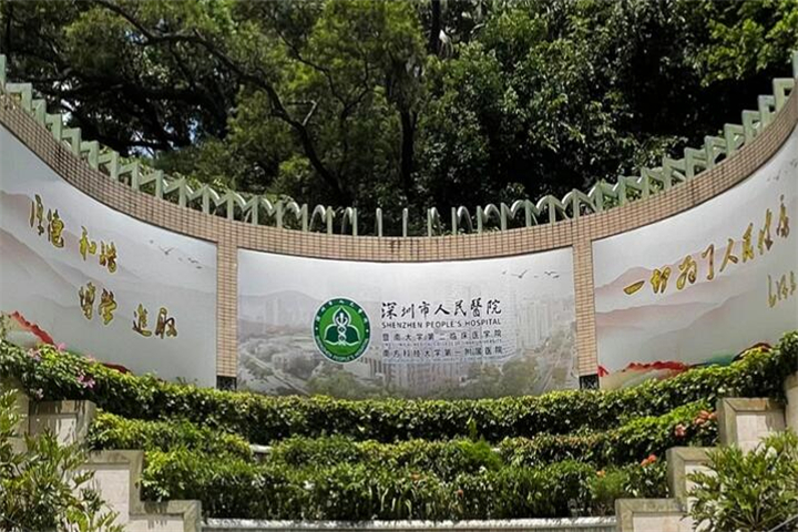 深圳市人民医院整形科：技术怎么样？费用多少？