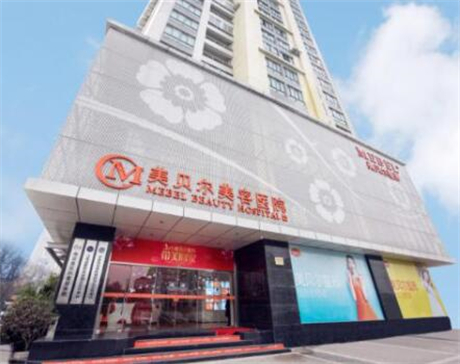 2024年整形医疗界翘楚：排行榜前十入围名单公示医美谁更胜一筹