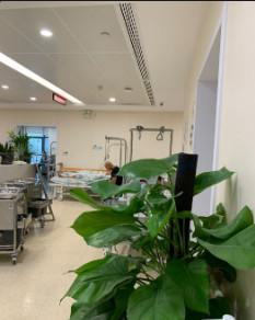苏州市立医院口腔整形科牙齿矫正价格表公布，专家团队+收费标准详解