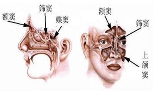 东莞缔美整形医院：效果好不好？费用多少？