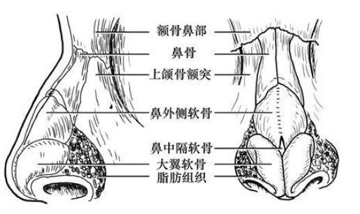 嵊州人民医院整形科隆鼻多少价格？2025价格表+美鼻效果图分享！