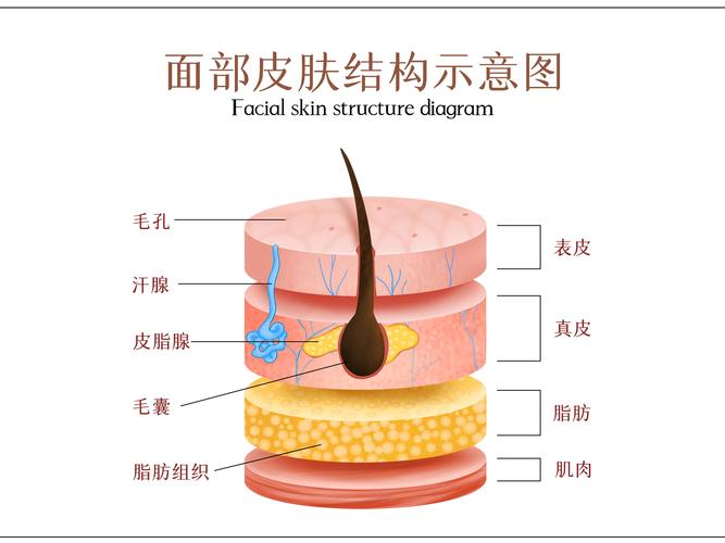 杭州美之源整形医院价格费用多少？详细项目费用一览