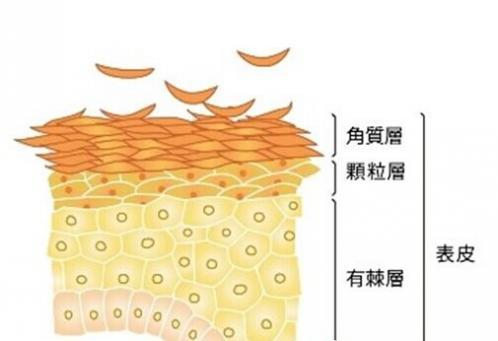 南充韩美整形美容医院价格全解析，费用多少一看便知！