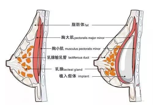 南昌大学附属医院整形科技术怎么样？价