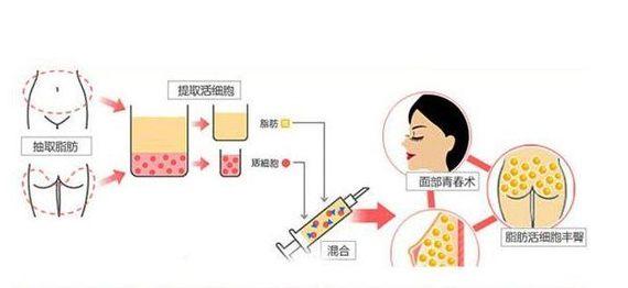 成都铜雀台与四川现代医院·三甲整形（武侯院区）哪个更优？实力医生对比