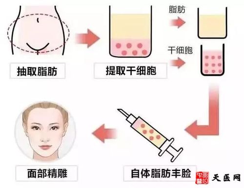 大连沙河口武欢医疗美容诊所整形项目价格费用多少？
