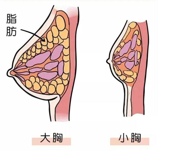 青岛伊美尔整形医院价格费用多少？详细项目费用一览