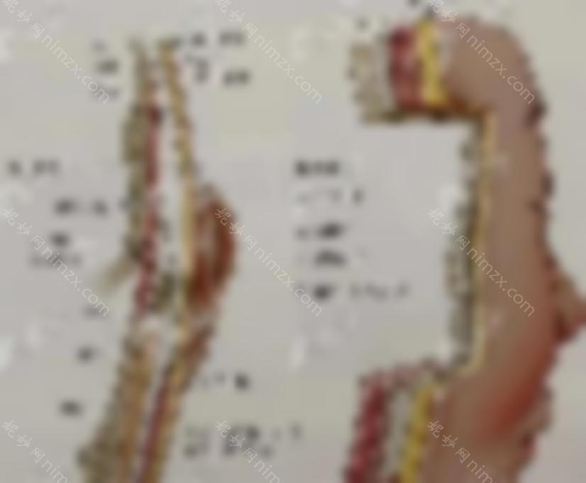 smas如何提升层面？smas了解筋膜层的图解和提拉过程