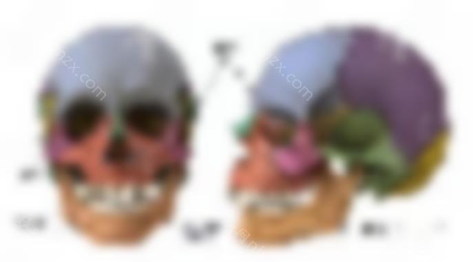 上海华美李志海和首尔丽格崔荣达比谁磨骨更好？