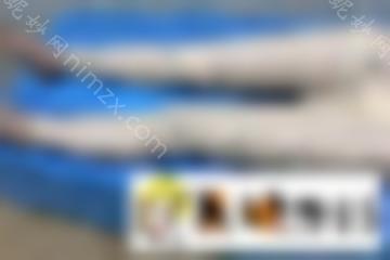影响水动力溶脂减肥的价格因素是什么？一般价格是多少？