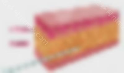 威塑吸脂恢复期要多久？这个夏天让你“躺瘦”，轻松拥有马甲线~